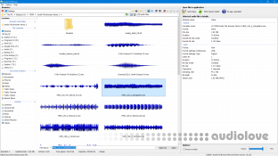 3delite Audio File Browser v1.0.8.46