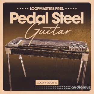 Loopmasters Pedal Steel Guitar