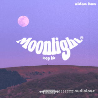 Aidan Han Moonlight [guitar loop kit]