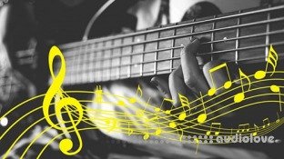 Udemy Learn BASS GUITAR Have Fun, Amaze Your Friends It's Eas