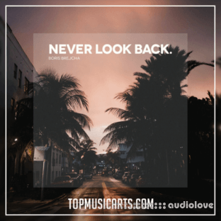 Top Music Arts Boris Brejcha Never Look Back Ableton Remake (Progressive House Template)