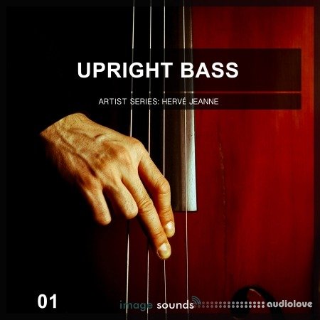 Image Sounds Upright Bass 1