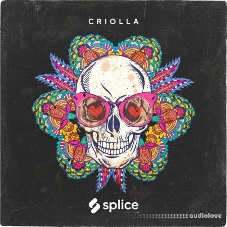 Splice Originals Criolla Latin Percussion