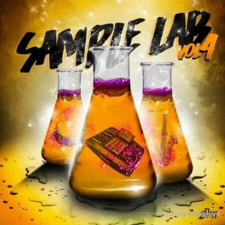 2DEEP Sample Lab Volume 4