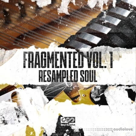 Soul Surplus Fragmented Vol.1 Resampled Soul