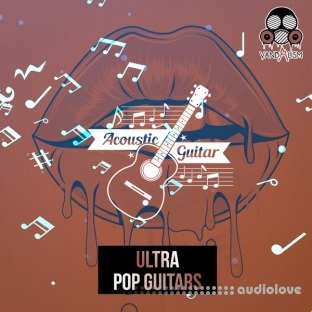 Vandalism Ultra Pop Guitars