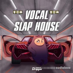 Dropgun Samples Vocal Slap House