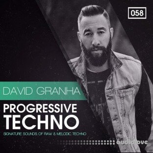 Bingoshakerz David Granha Progressive Techno