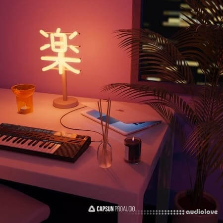 Capsun ProAudio Bedroom Beats and Lofi Hip-Hop Vol.3