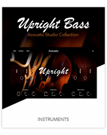 Muze Upright Bass