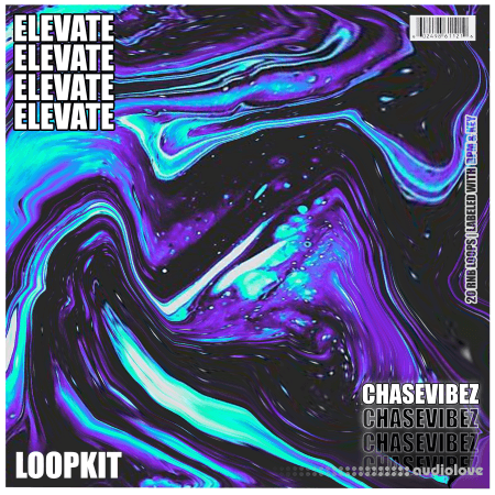 Chase Vibez Elevate RnB LoopKit