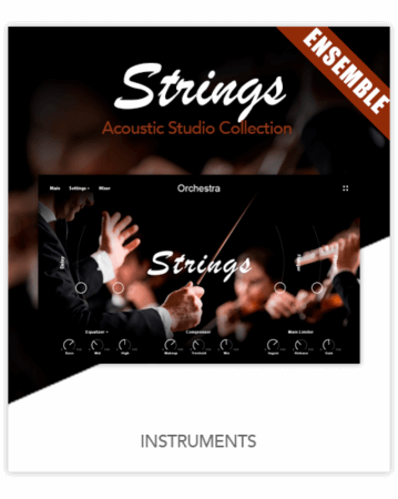 Muze Strings Ensemble