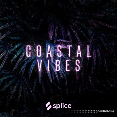 Splice Originals Coastal Vibes Reggaeton