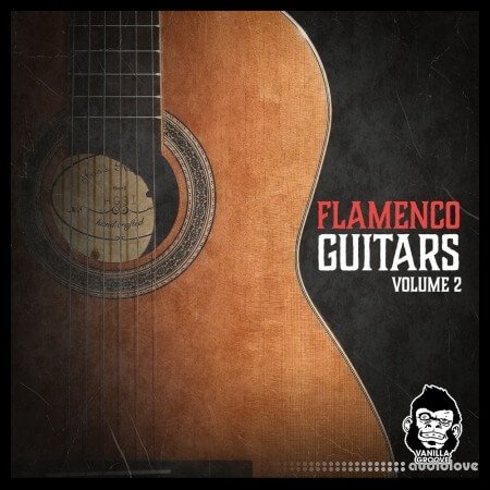 Vanilla Groove Studios Flamenco Guitars Vol.2