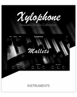 Muze Xylophone