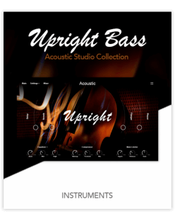 Muze Upright Bass