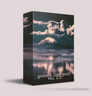 Gunso's Loop Pack Vol. XII