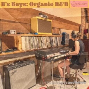 Nu.Wav B's Keys Organic RnB