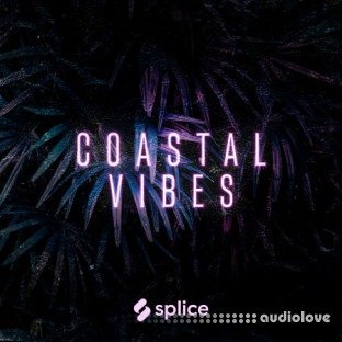 Splice Originals Coastal Vibes Reggaeton