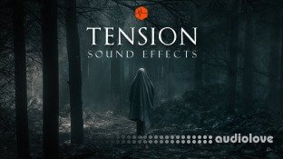 Triune Digital Tension SFX