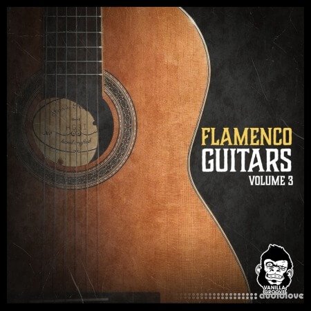 Vanilla Groove Studios Flamenco Guitars Vol.3