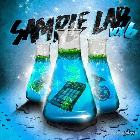 2DEEP Sample Lab Volume 6