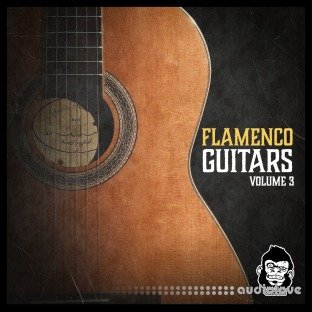 Vanilla Groove Studios Flamenco Guitars Vol.3