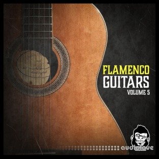 Vanilla Groove Studios Flamenco Guitars Vol.5