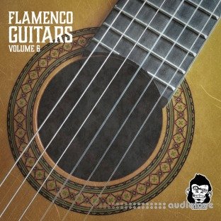 Vanilla Groove Studios Flamenco Guitars Vol.6