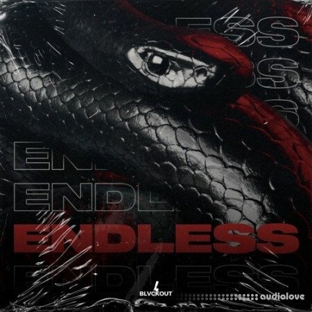 Blvckout Endless