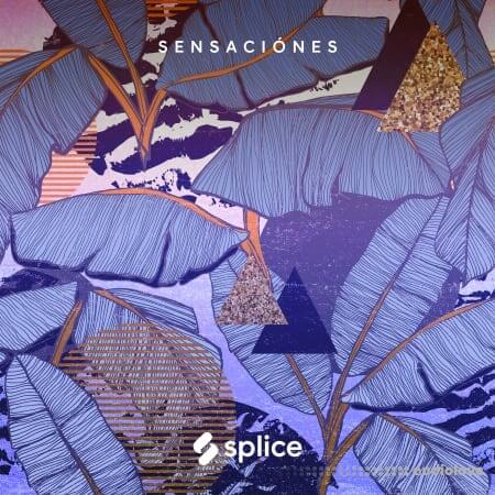 Splice Originals Sensaciones Latin RnB