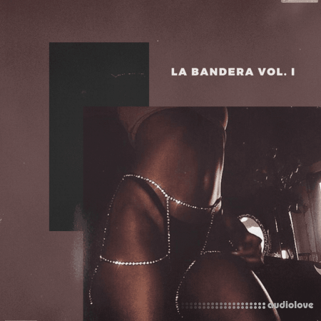 KXVI La Bandera Loop Kit