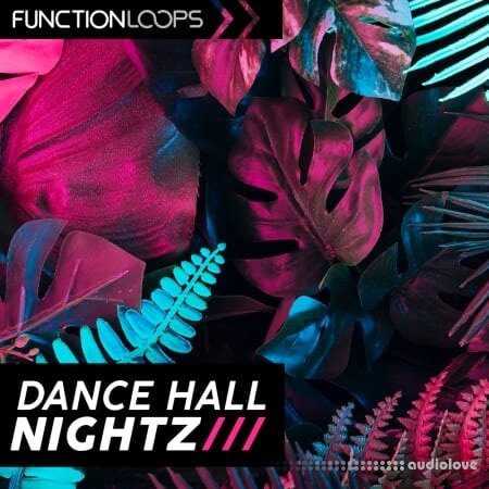 Function Loops Dancehall Nightz