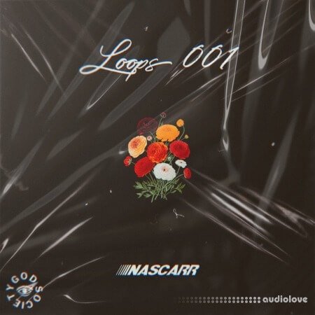 Nascarr Loops 001