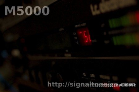 Signaltonoize T.C. M5000 Impulse Responses