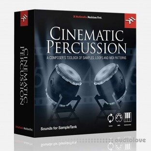 IK Multimedia Cinematic Percussion