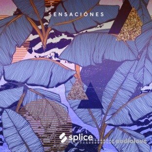 Splice Originals Sensaciones Latin RnB