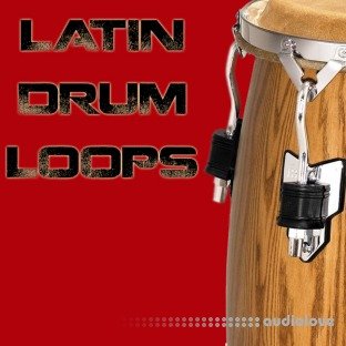 Bunker 8 Digital Labs Latin Drum Loops