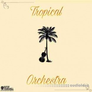 Out Of Your Shell Sounds Tropical Orchestra