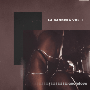 KXVI La Bandera Loop Kit