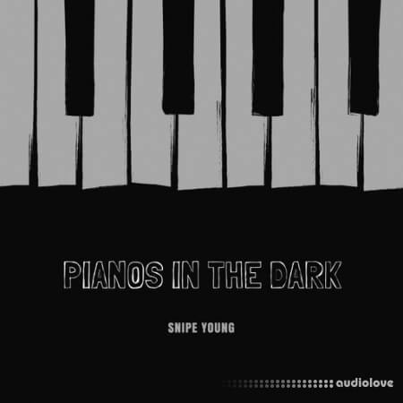 Snipe Young Pianos In The Dark