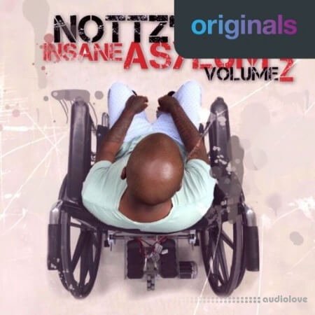 Nottz's Insane Asylum Volume 2