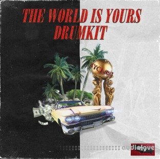 Nik D The World Is Yours Kit