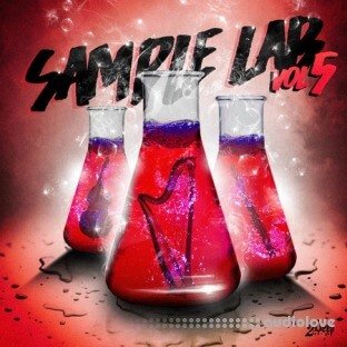 2DEEP Sample Lab Vol.5