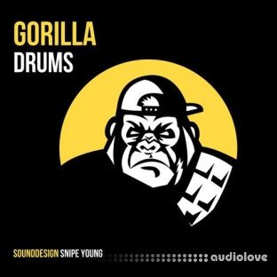 Snipe Young Gorilla Drums