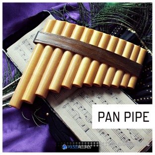 Pulsed Records World Series: Pan Pipe