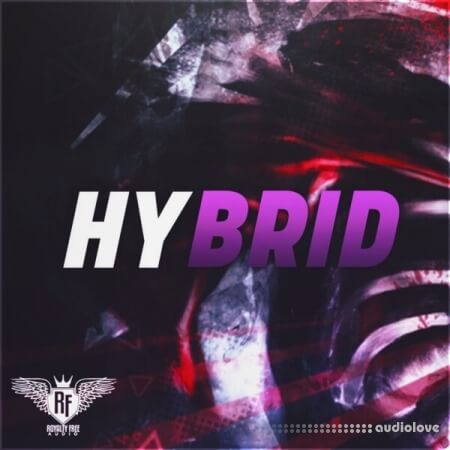 Big Citi Loops Hybrid Hip Hop