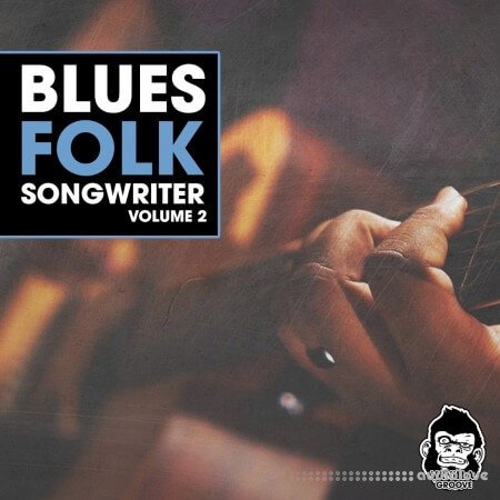 Vanilla Groove Studios Blues Folk Songwriter Vol.2