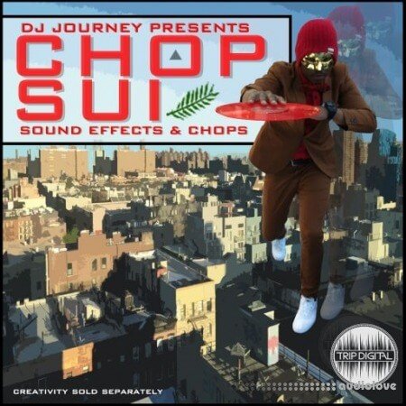 Trip Digital Chop Suey by DJ Journey