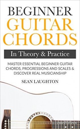 Beginner Guitar Chords In Theory And Practice: Master Essential Beginner Guitar Chords, Progressions And Scales